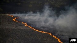 Ukraine -- Smoke rises from a forest fire burning near the Chornobyl plant, April 28, 2015