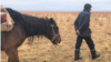 Kazakhstan – Kuanyshbai Koptileuov, USSR passport, shepherd, horse, steppe. Aktobe region Mugalzhar district Sarytogai village, 23 November 2021