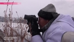 В Кыргызстане началась охота на волков